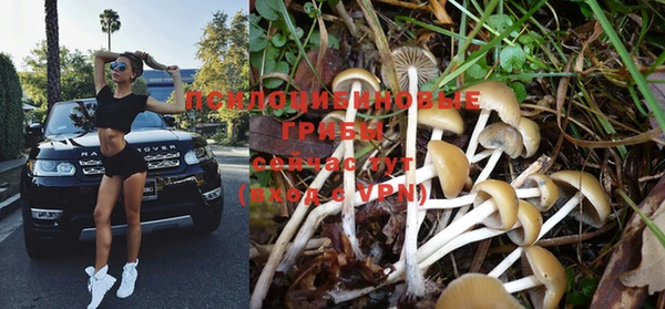 мет Лиски