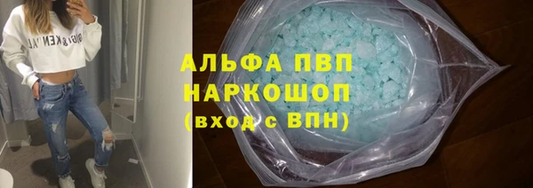 индика Березники