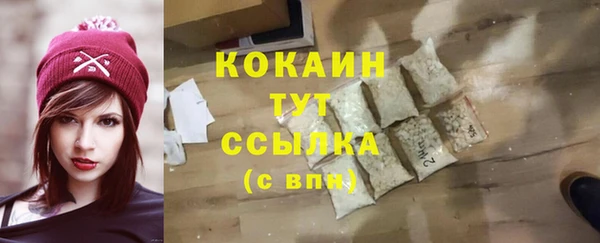 индика Домодедово