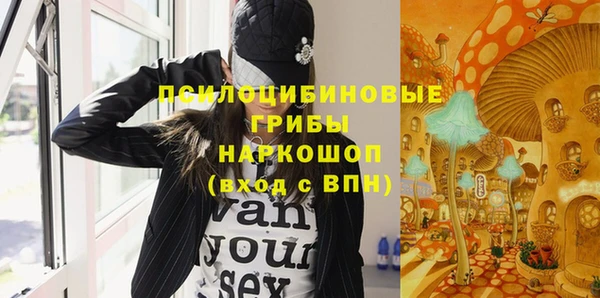 mix Богородицк