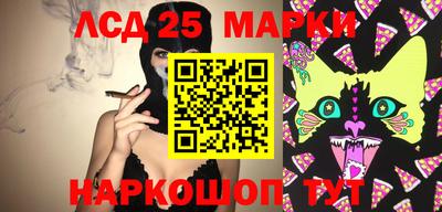 гашик Жуковский