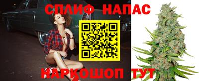 гашик Жуковский