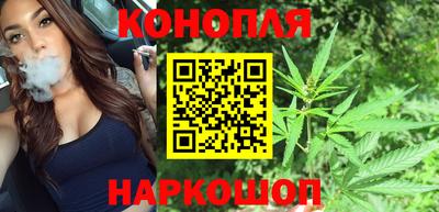 гашик Жуковский