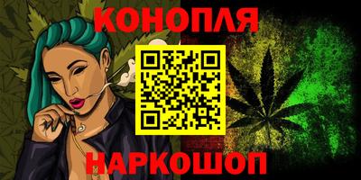 гашик Жуковский