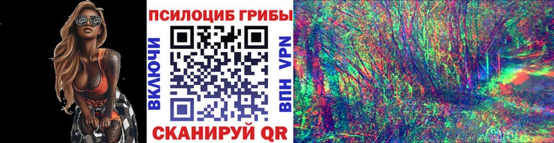 Псилоцибиновые грибы мухоморы  Киреевск 