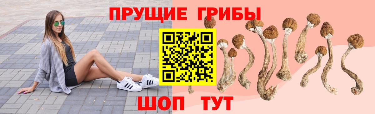 Псилоцибиновые грибы ЛСД Киреевск